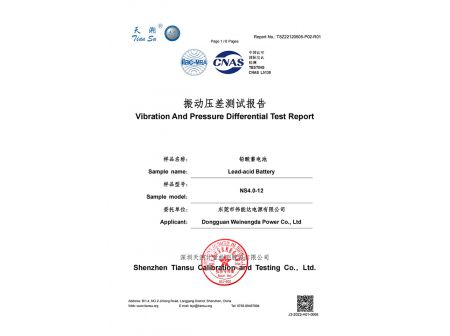 振动和压差试验报告